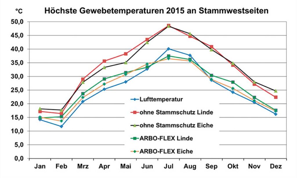 Gewebetemperaturen an Stammwestseiten