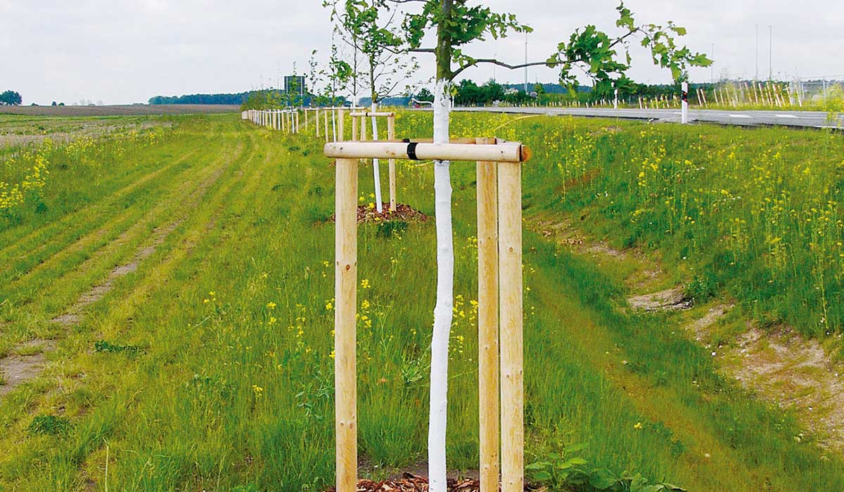 Stammschutz mit Arbo-Flex