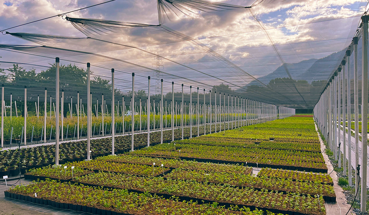 Lubera AG in der Schweiz