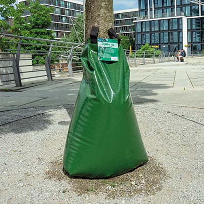 GROWtect t-bag am Stadtbaum