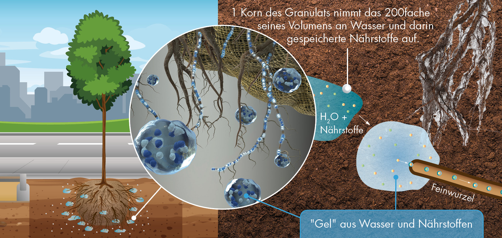 Wasser- und Nährstoffspeichergranulate für Bäume bei der Baumpflanzung