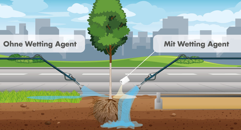 Baumpflege bei Trockenheit mit Wetting Agent