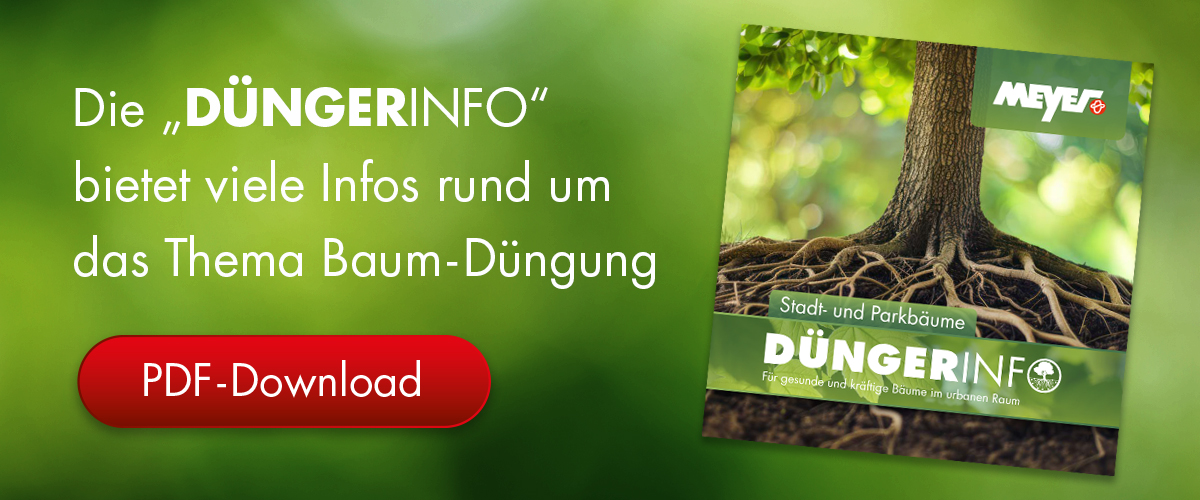 Düngerinfo Stadtbaum