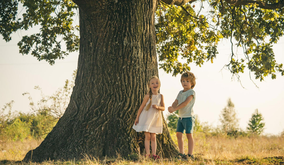 Kinder stehen vor altem Baum