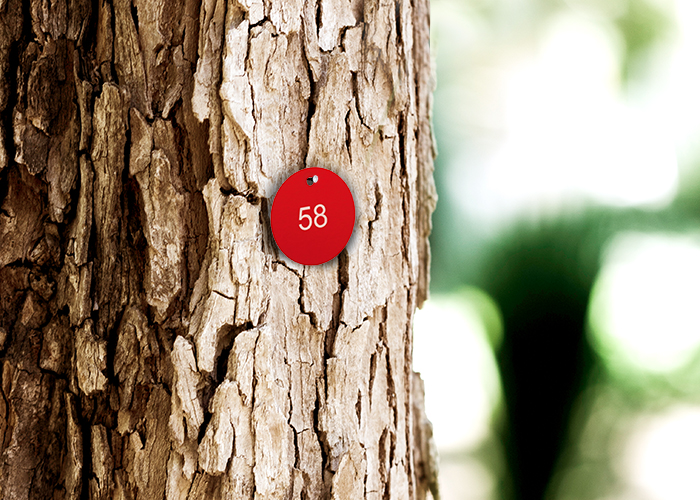 Baumnummer an einem Baum