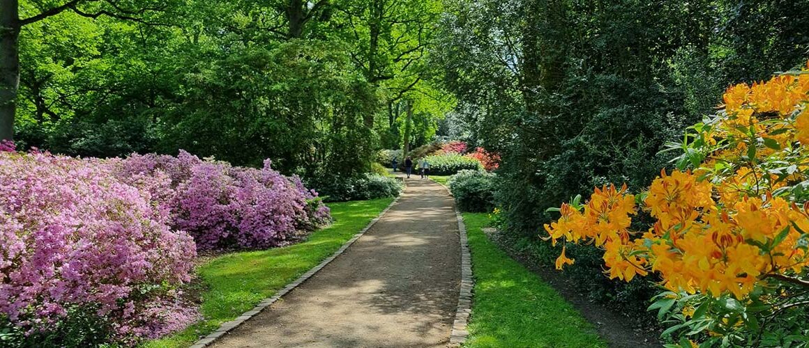 Rhododendronpark in Bremen