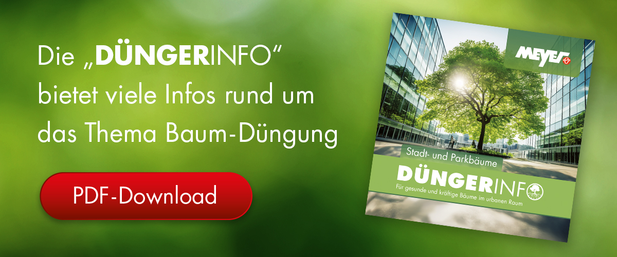 PDF der Broschüre Düngerinfo für Stadtbäume