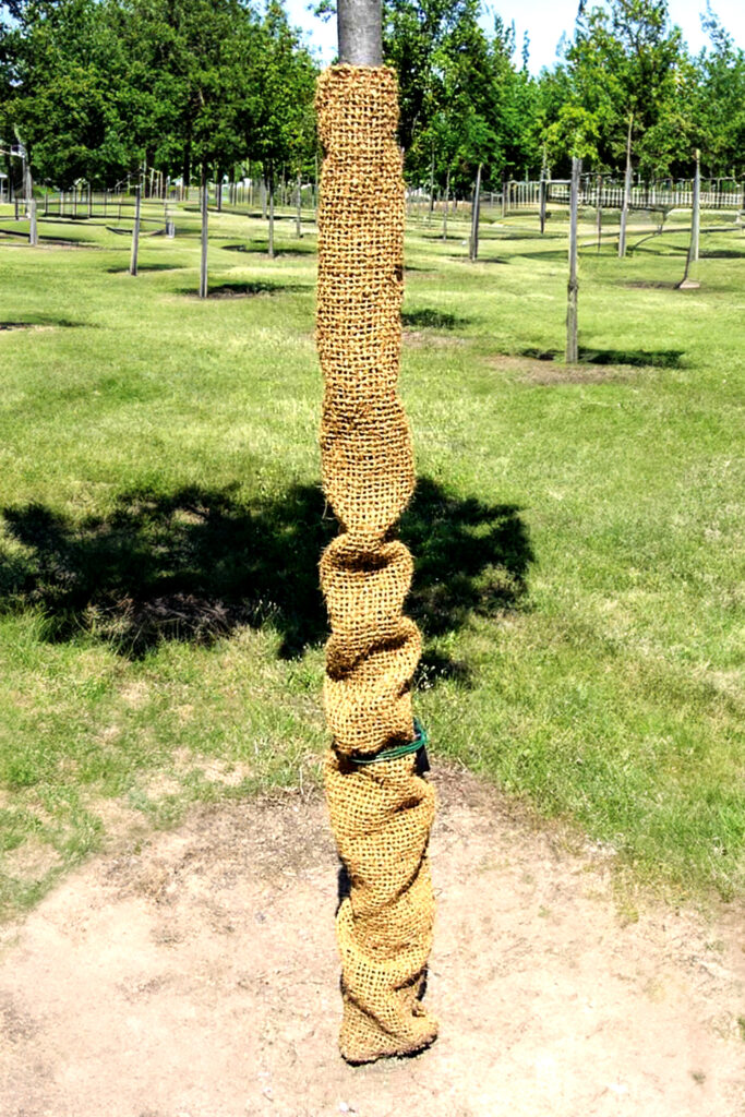 Stammschutz GROWtect Cocoprotec