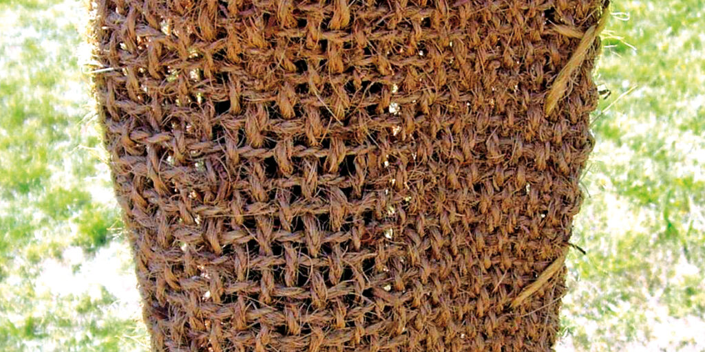 Stammschutz GROWtect Cocoprotec