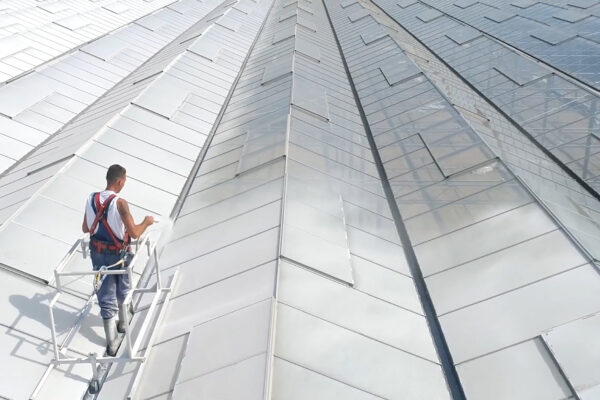 Sommerhitze im Gewächshaus? So regulierst Du Licht und Temperatur richtig