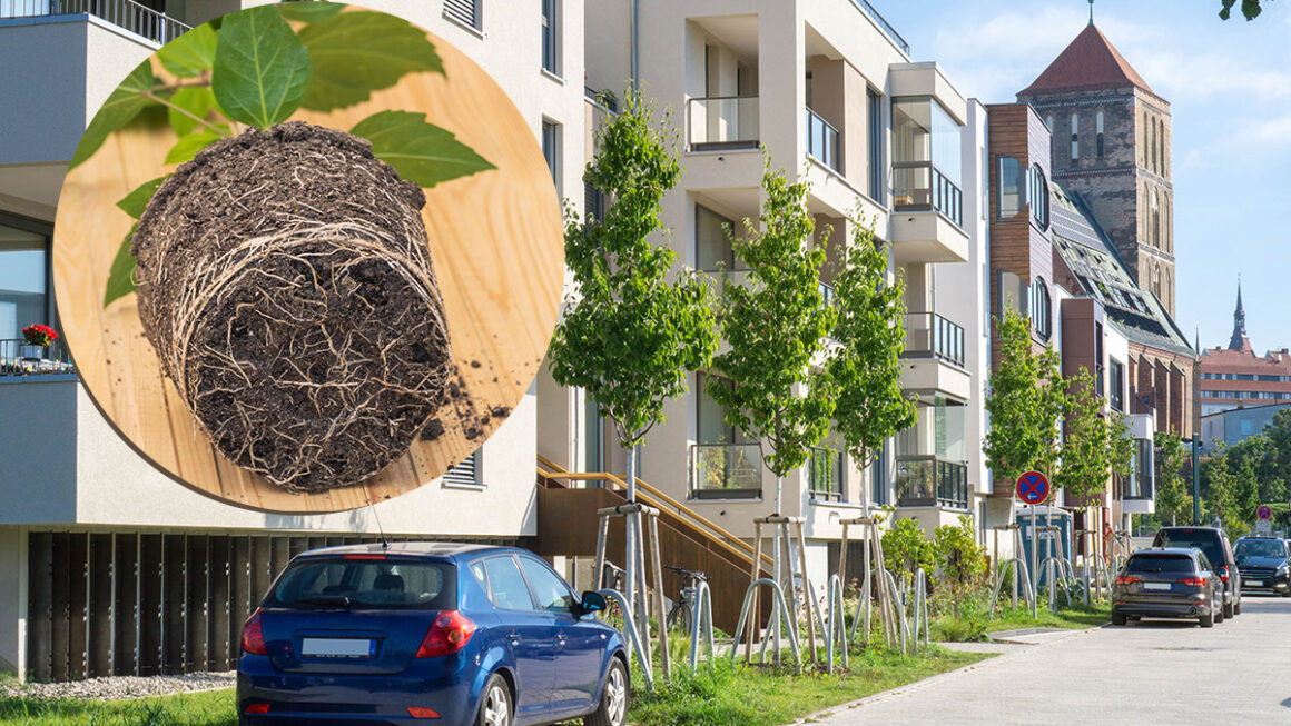 Galabau und Stadtbaum mit Retentis