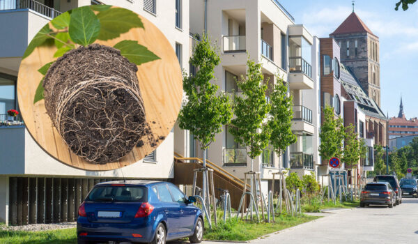 Wasser speichern – aber nachhaltig: Neue Wege im GaLaBau